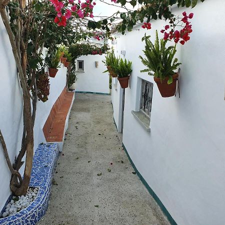 Apartamento La Chanca Conil De La Frontera Extérieur photo